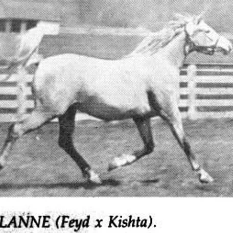 Milanne