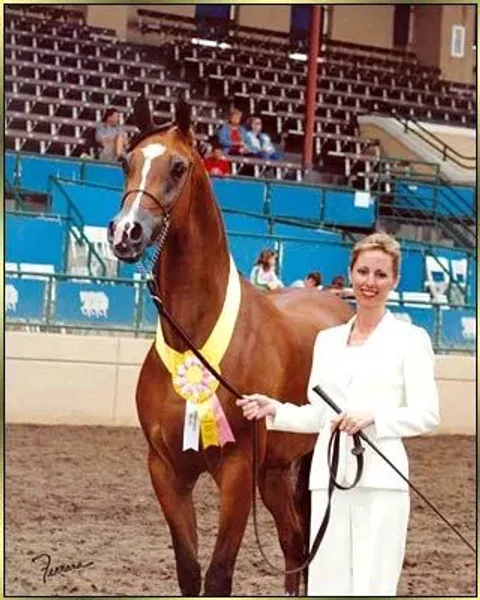 Pam Bauerlein