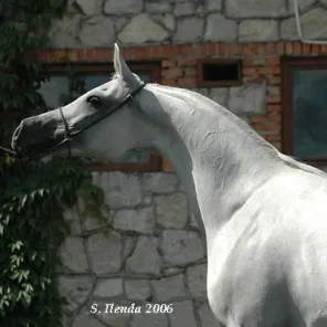 ZAGROBLA