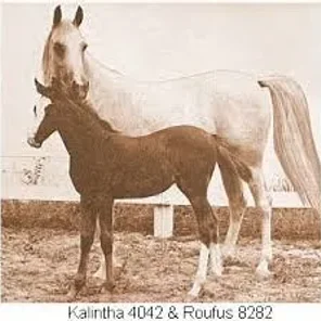 KALINTHA