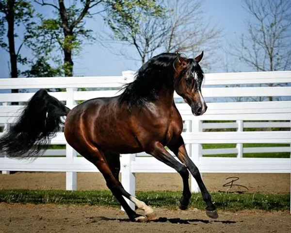 K-Two Caen
