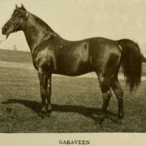 Garaveen