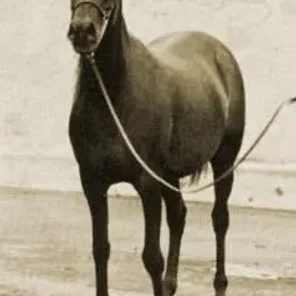DORAZA