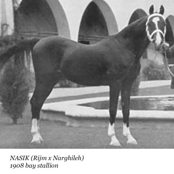Nasik