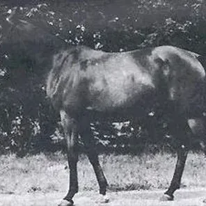 ABHAZJA