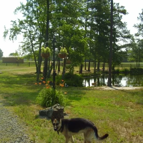 My sweet friend Sans Souci (Sau-Sau) whom I miss every day. Please reincarnate and come back to me soon!