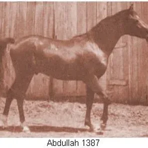 Abdullah