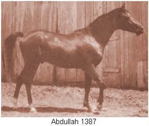 Abdullah