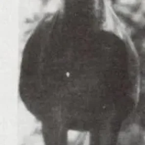 Poka