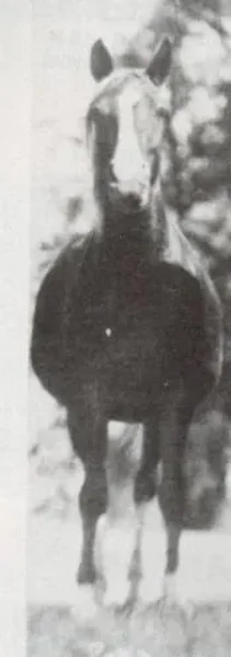 Poka