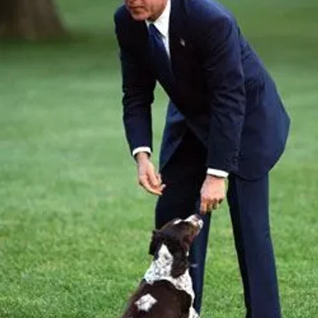 Our U.S. Presidents and some their Pets