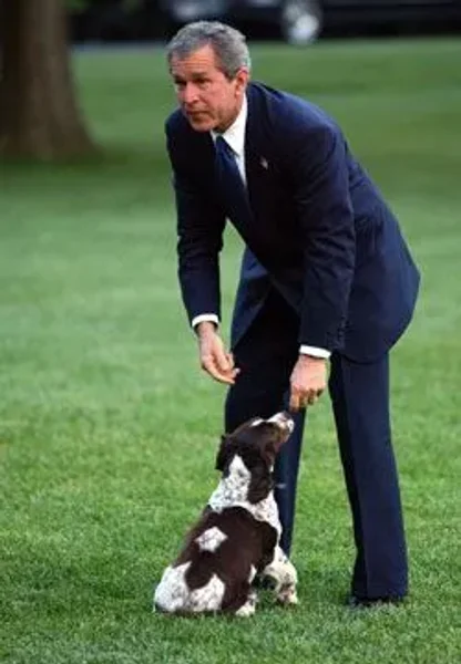 Our U.S. Presidents and some their Pets