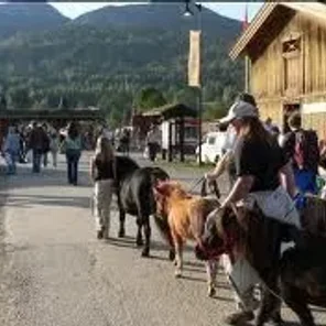 Telemark