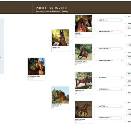 Great pedigree Sue...This is an outstanding Mare!