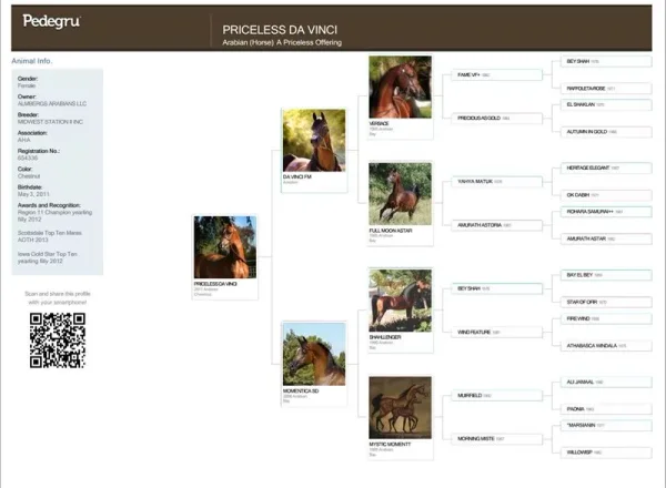 Great pedigree Sue...This is an outstanding Mare!