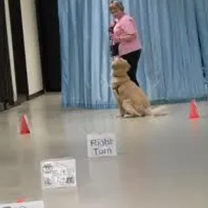 Agility Part 2 (Rally)