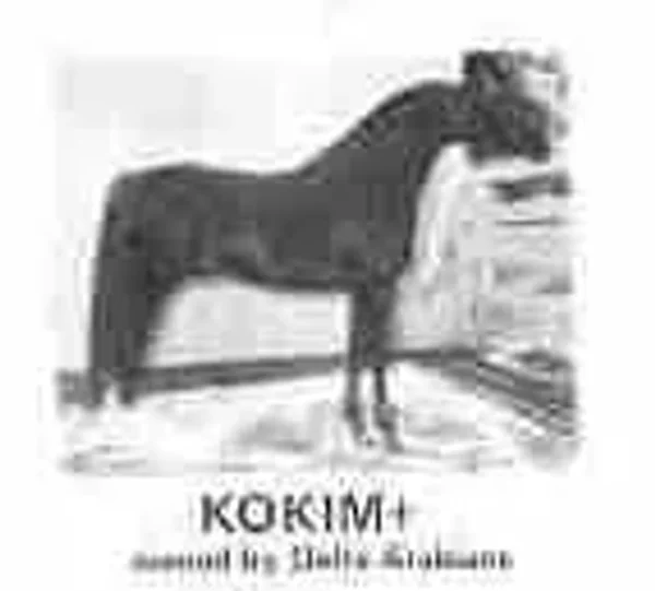 KOKIM++