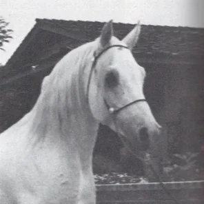 Maar-Rab