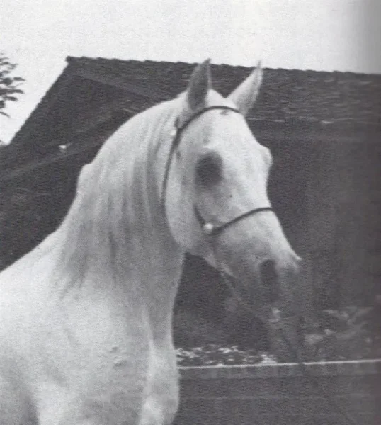 Maar-Rab