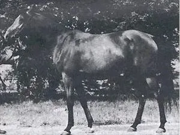 ABHAZJA