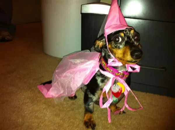 Roxy