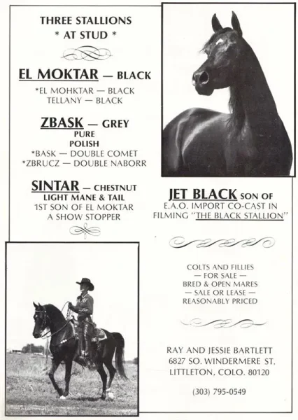 EL MOKTAR
