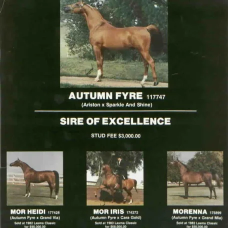 Autumn Fyre