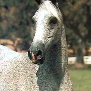 *FELLUKA