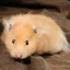 Honey Nut Cheerio