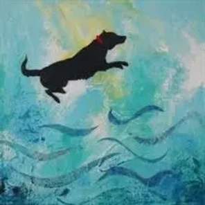 Cock-A-Mo (Designer Dog)