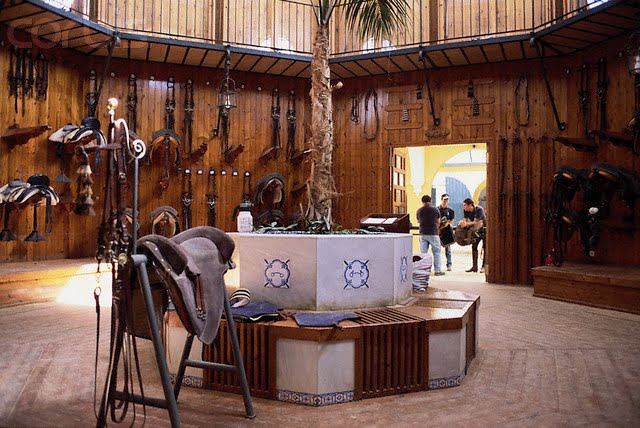 Tack for Sale-What Will I Need? Where Do I Find It?