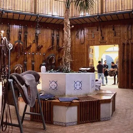 Tack for Sale-What Will I Need? Where Do I Find It?