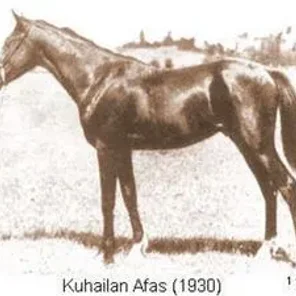KUHAILAN AFAS