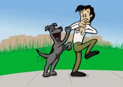 3 Tactics to Stop Dog Jumping