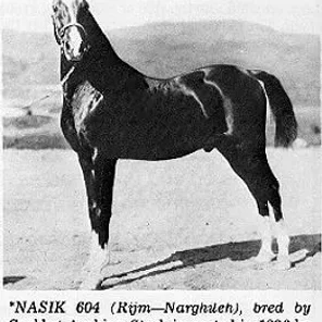 NASIK