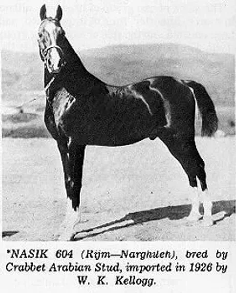 NASIK