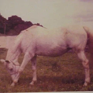Tangyya