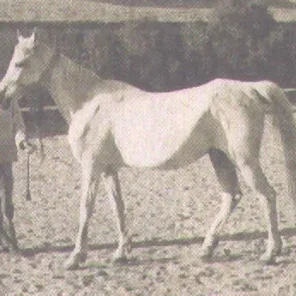 MALAKA