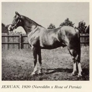 Jeruan