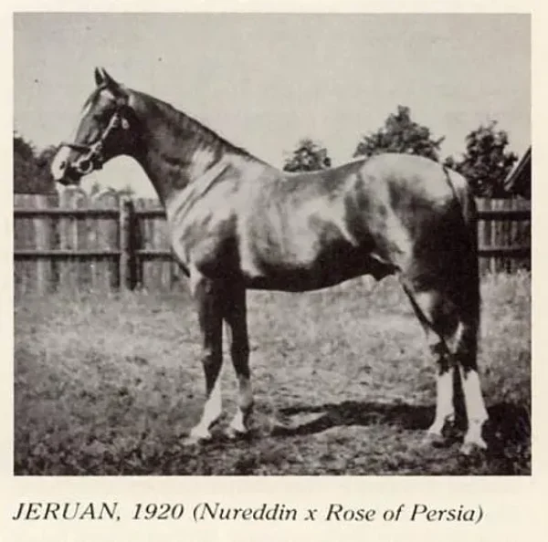 Jeruan