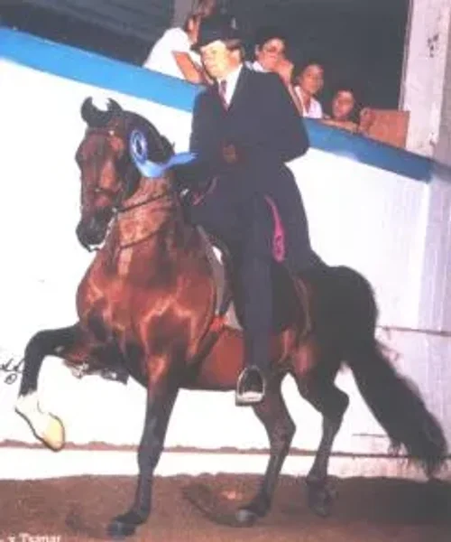 Brass one of the last great Bask sons!