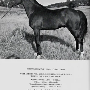 CAMEOS CRESCENT