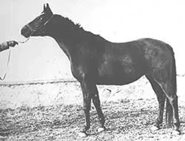 kasta
