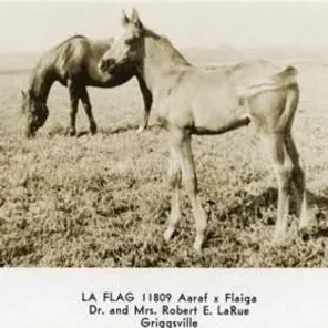 La Flag