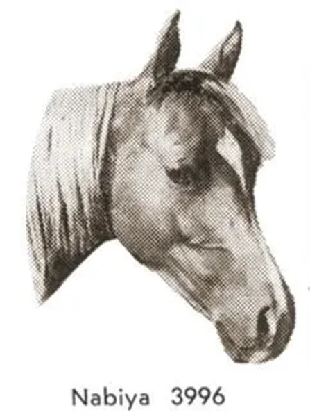 Nabiya