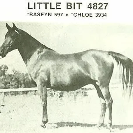 Little Bit