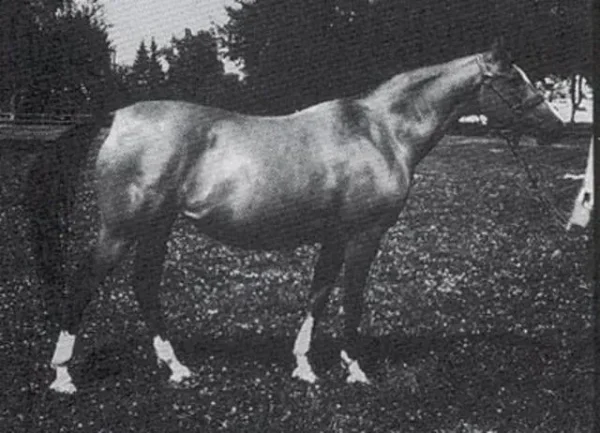 TRYNCZA