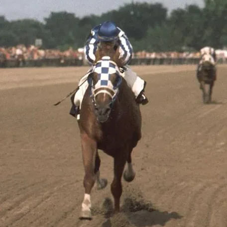 Photolog of a few Secretariat special moments