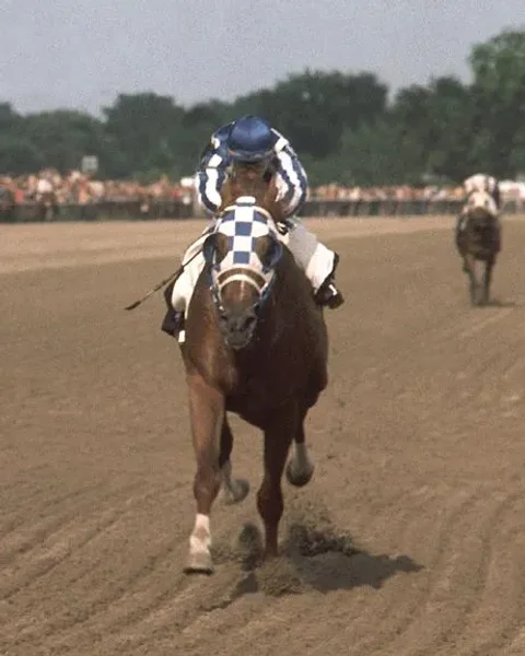 Photolog of a few Secretariat special moments