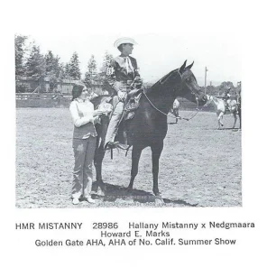 HMR MISTANNY